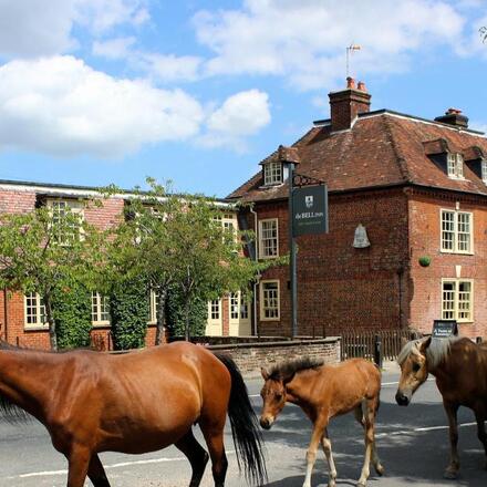 The Bell Inn, Hampshire