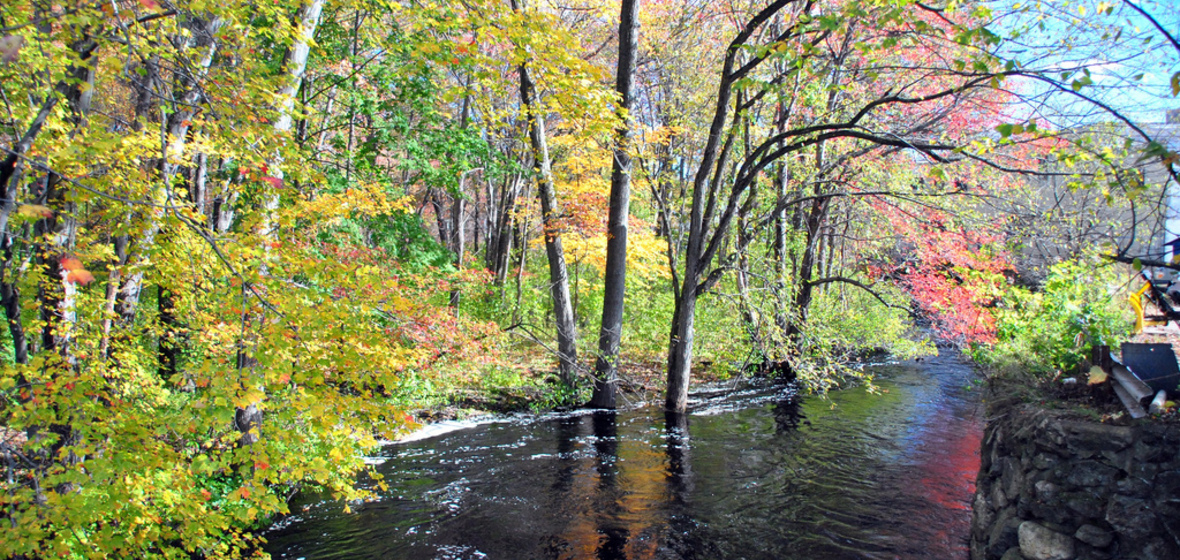 Photo of Concord