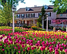 Les meilleurs hôtels de la Brandywine Valley