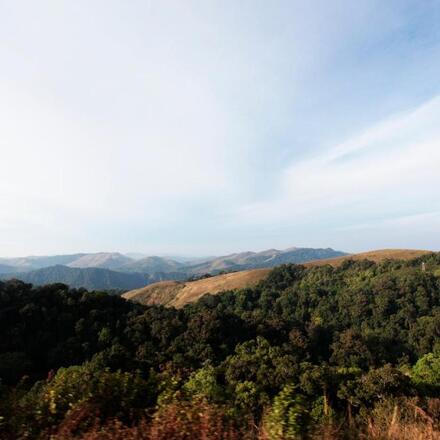 19 des Meilleurs Hôtels dans les Ghâts occidentaux du Kerala