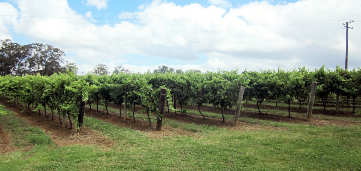 Best places to stay in Pokolbin, Australia The Hotel Guru