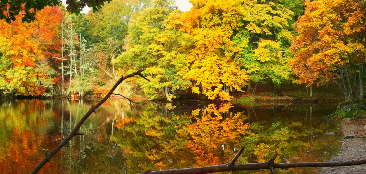 Best places to stay in Perthshire, United Kingdom | The Hotel Guru