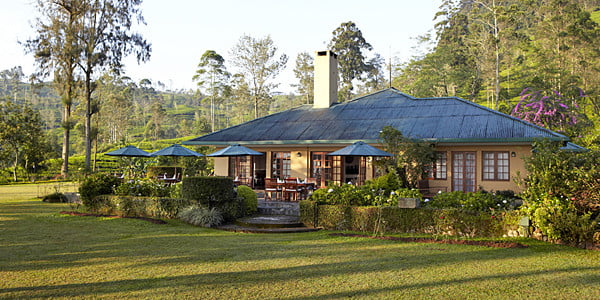 Photo of Ceylon Tea Trails