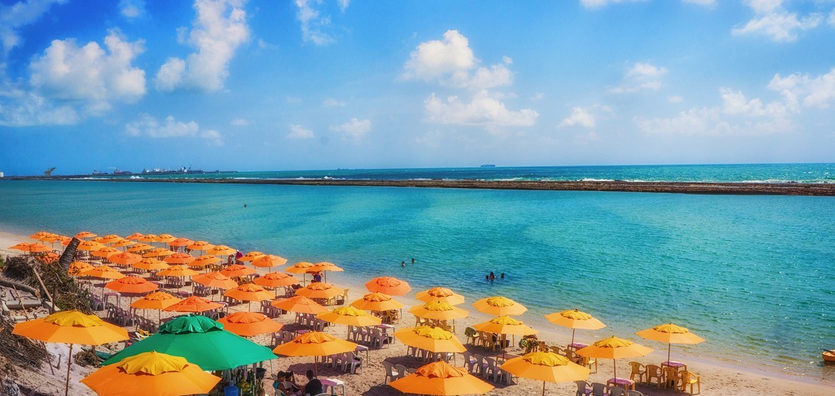 Photo of Pernambuco