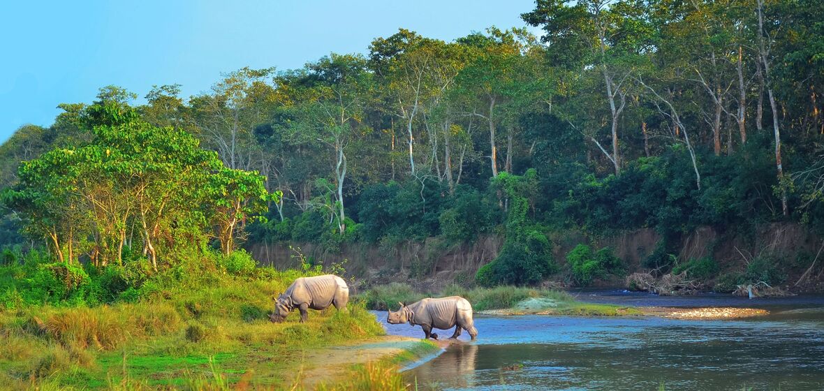 Foto de Distrito de Chitwan