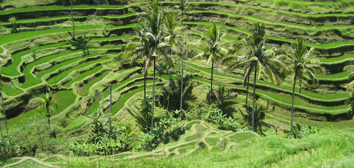 Foto von Bali