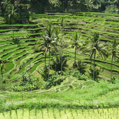 Bali, Indonesia