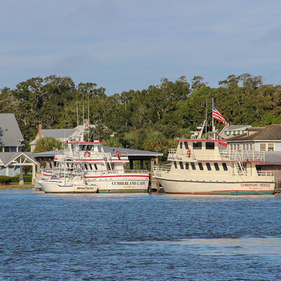 Cumberland Island, United States of America