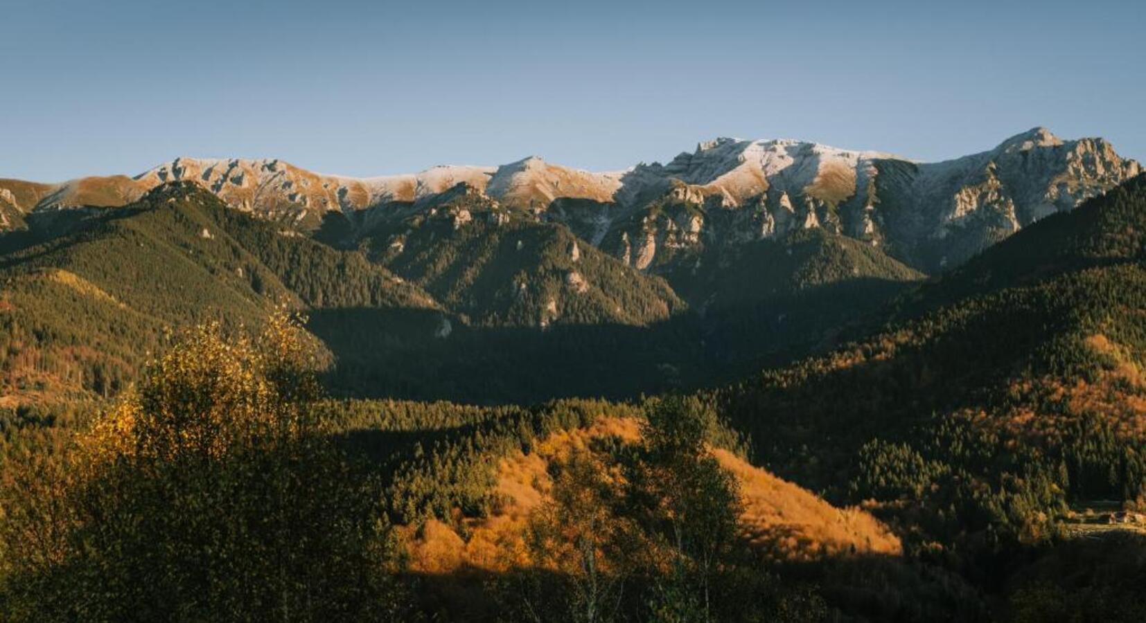 Surrounding area