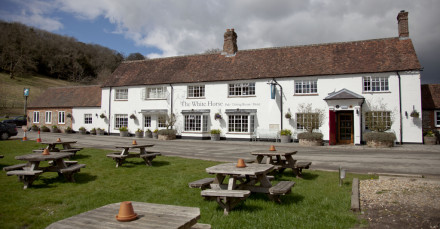 The White Horse, West Sussex