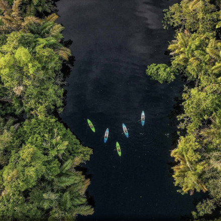 Tortuga Lodge and Gardens