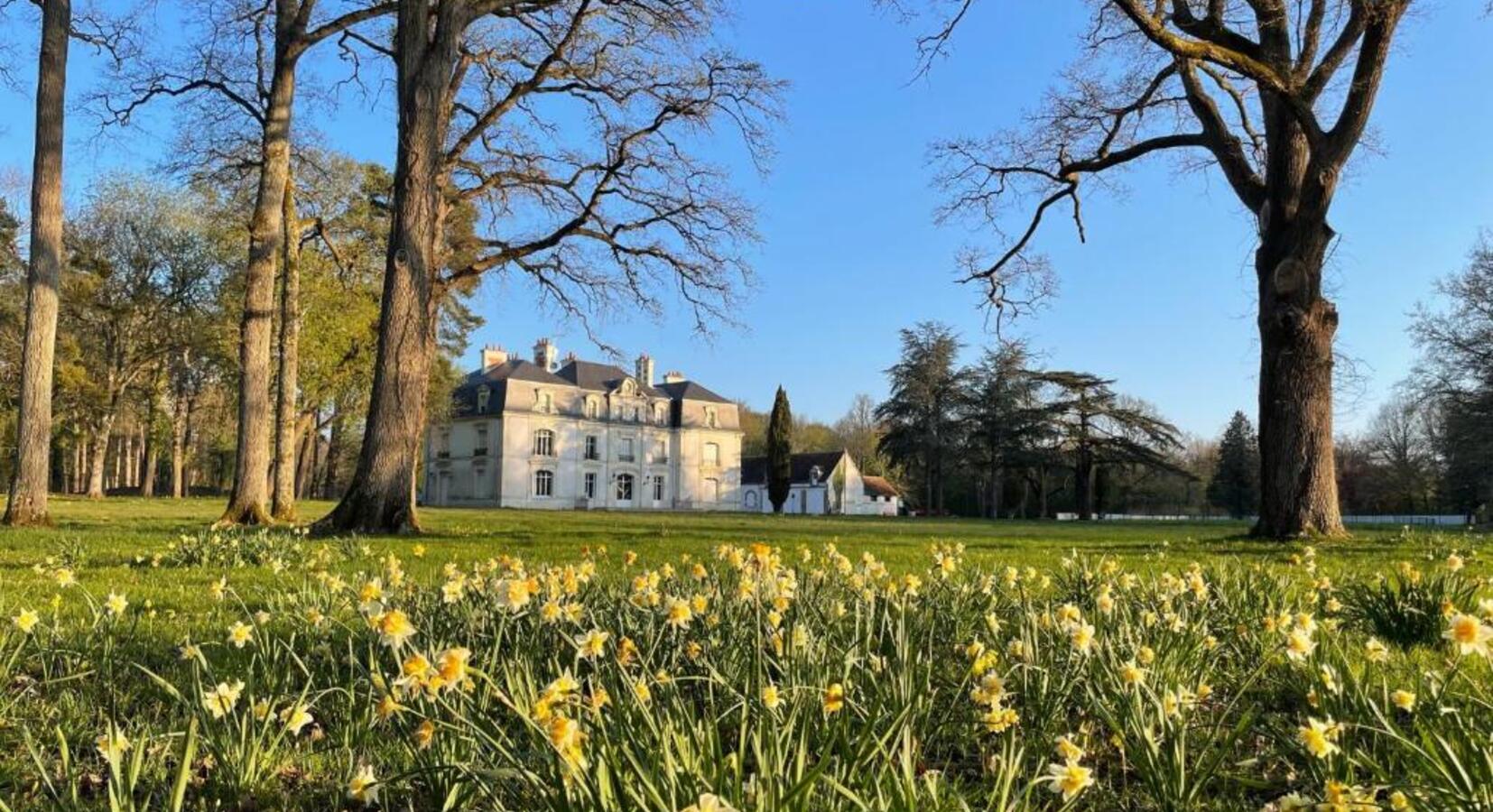 Foto de Les Hayes en Sologne