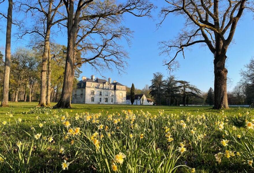 Les Hayes en Sologne