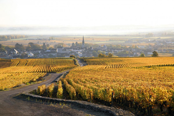 Clos Saint Jacques