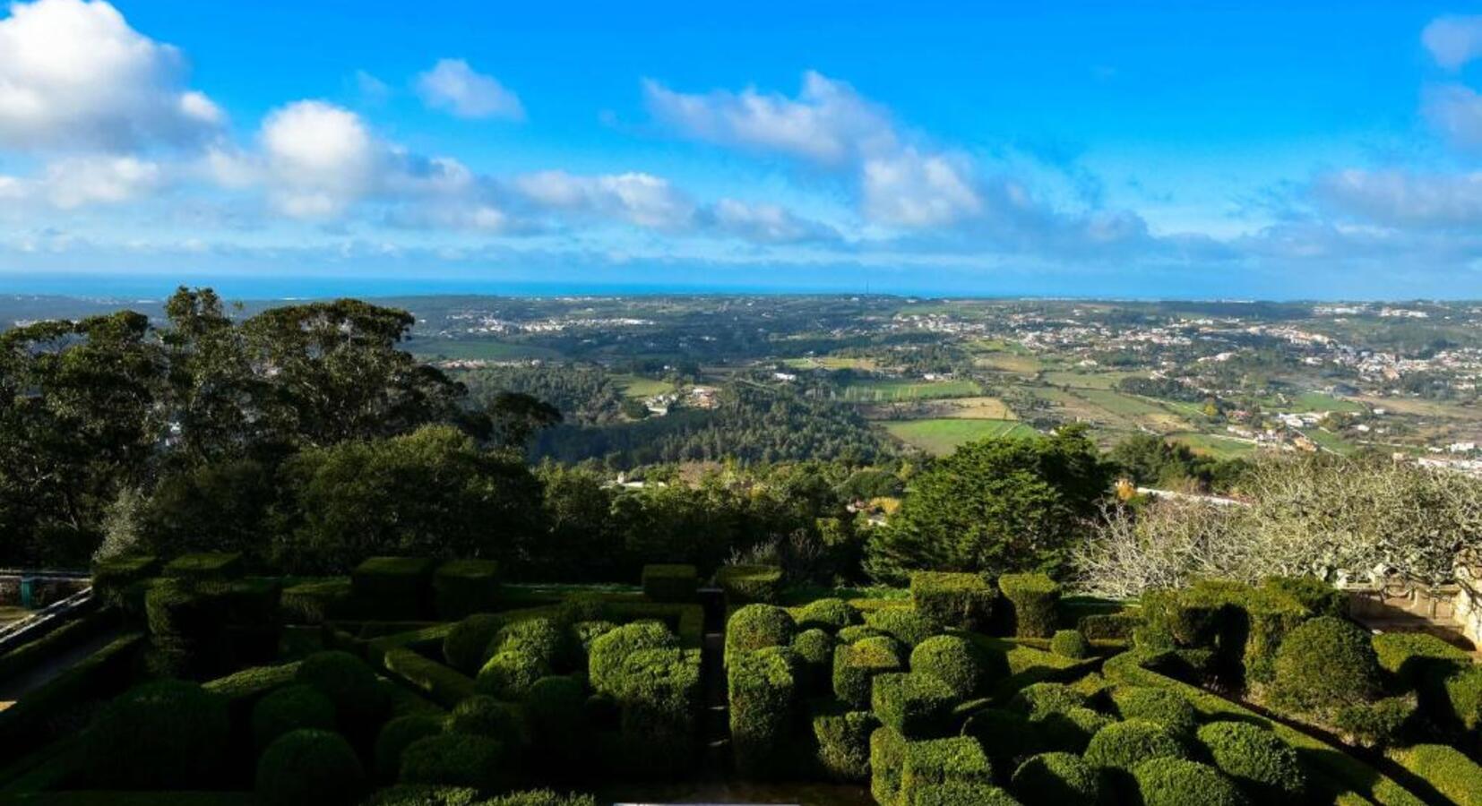 Aerial view of gardens