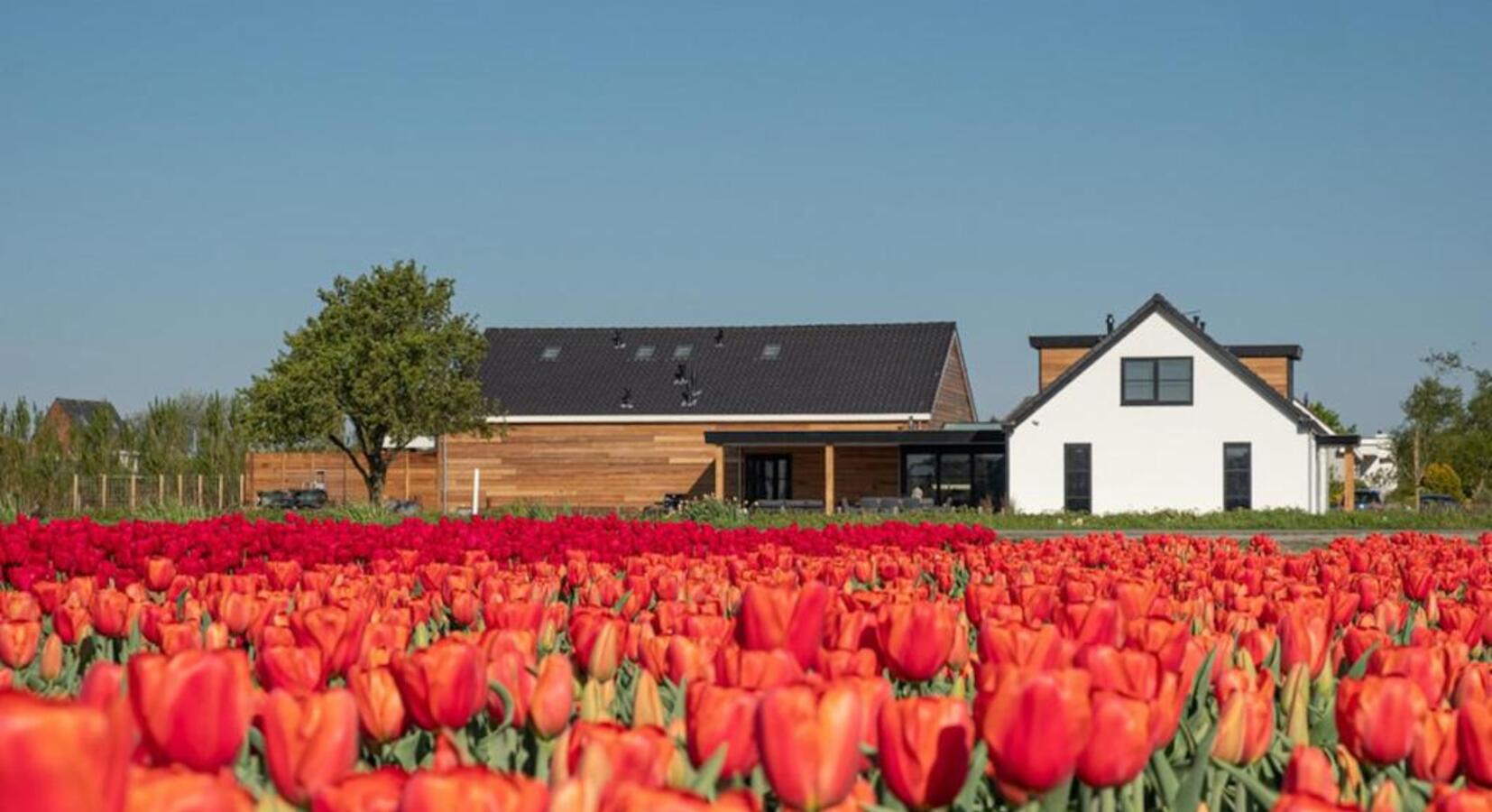 Photo of B&B de Cley