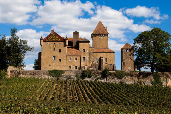Chateau de Pierrecois