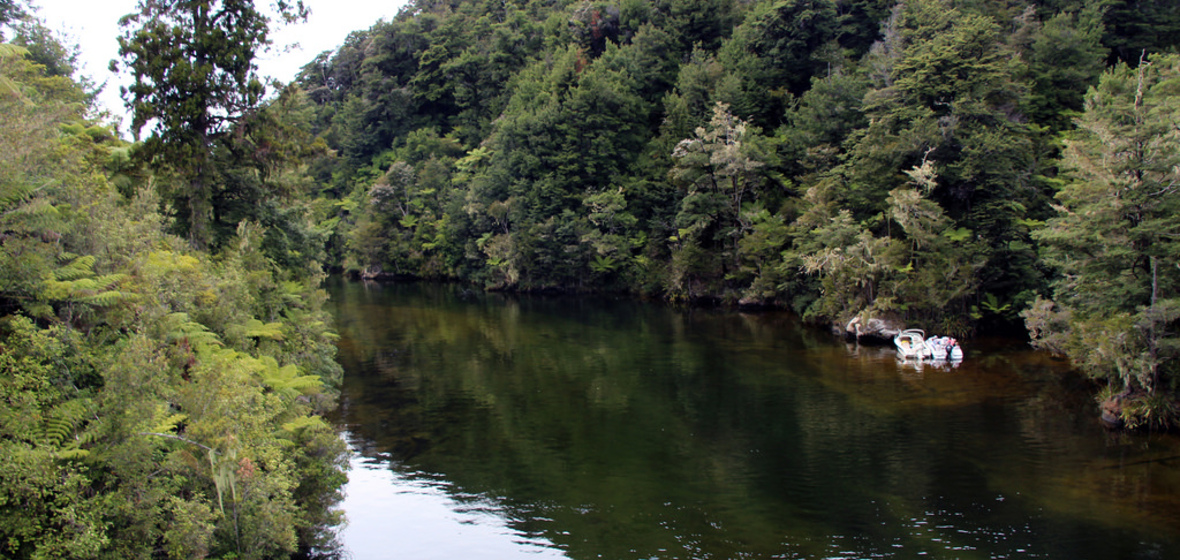 Foto von Tasmanien