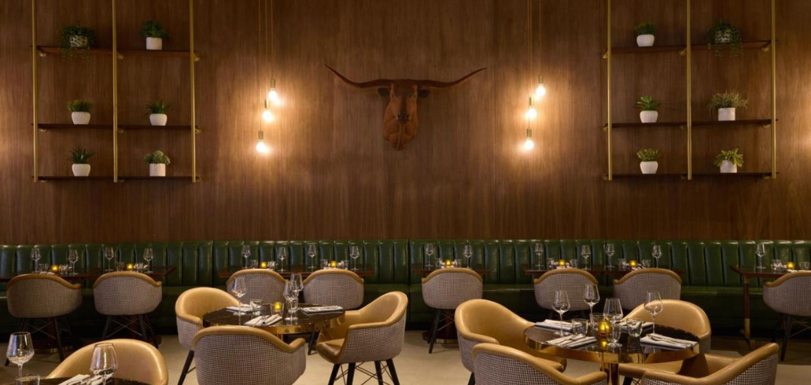 The Leo Kent, Tucson (Arizona), United States of America. Expert