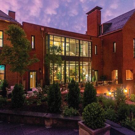 The Ivy 