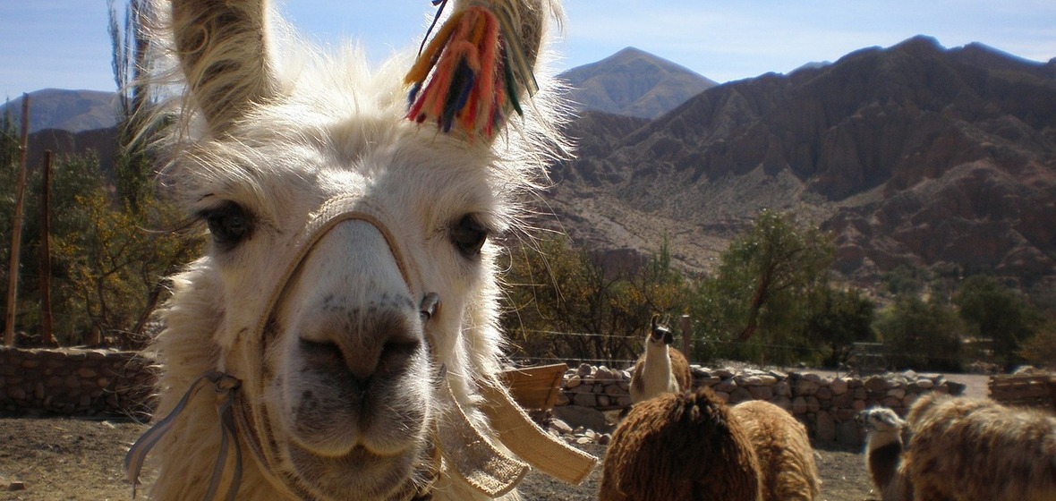 Photo of Jujuy Province