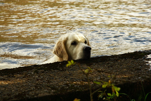 Crummock Water