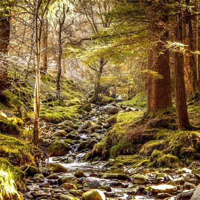 County Wicklow, Ireland