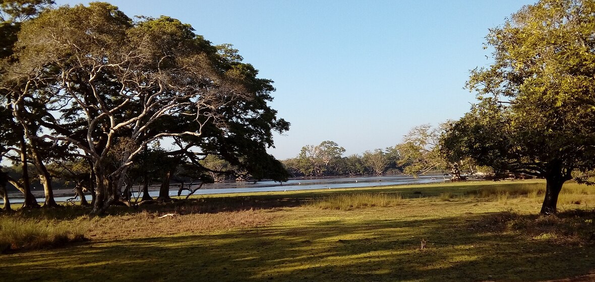 Photo of Wilpattu