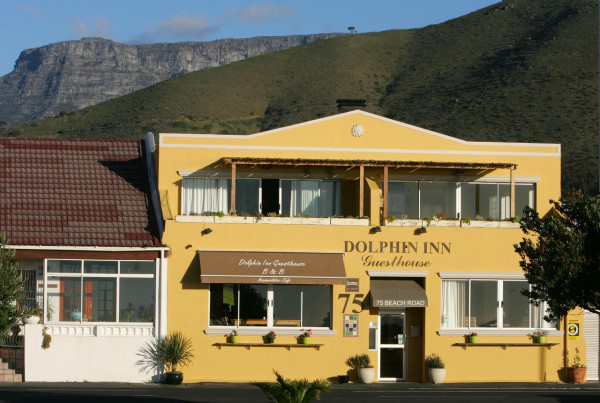 Dolphin Inn