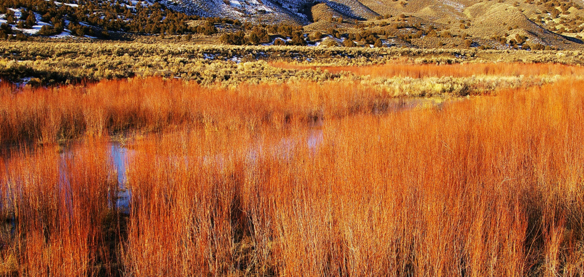 Photo of Nevada