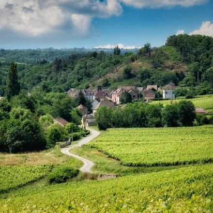The 14 Best B&Bs in Burgundy 