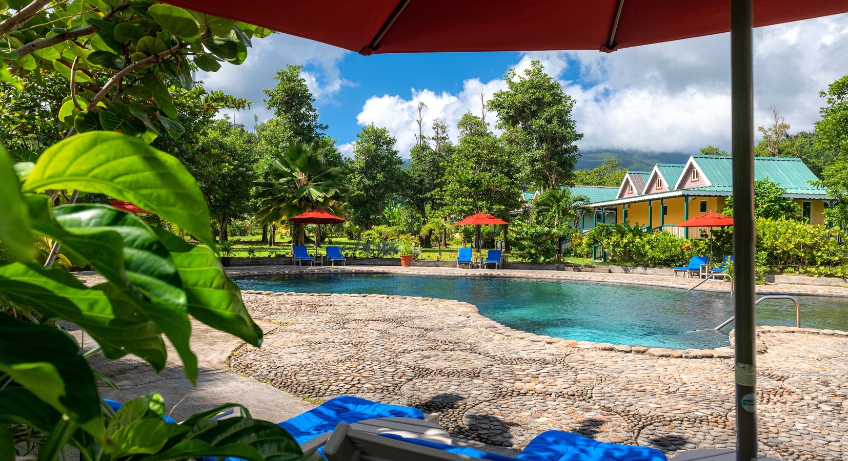 Photo of Rosalie Bay Eco Resort