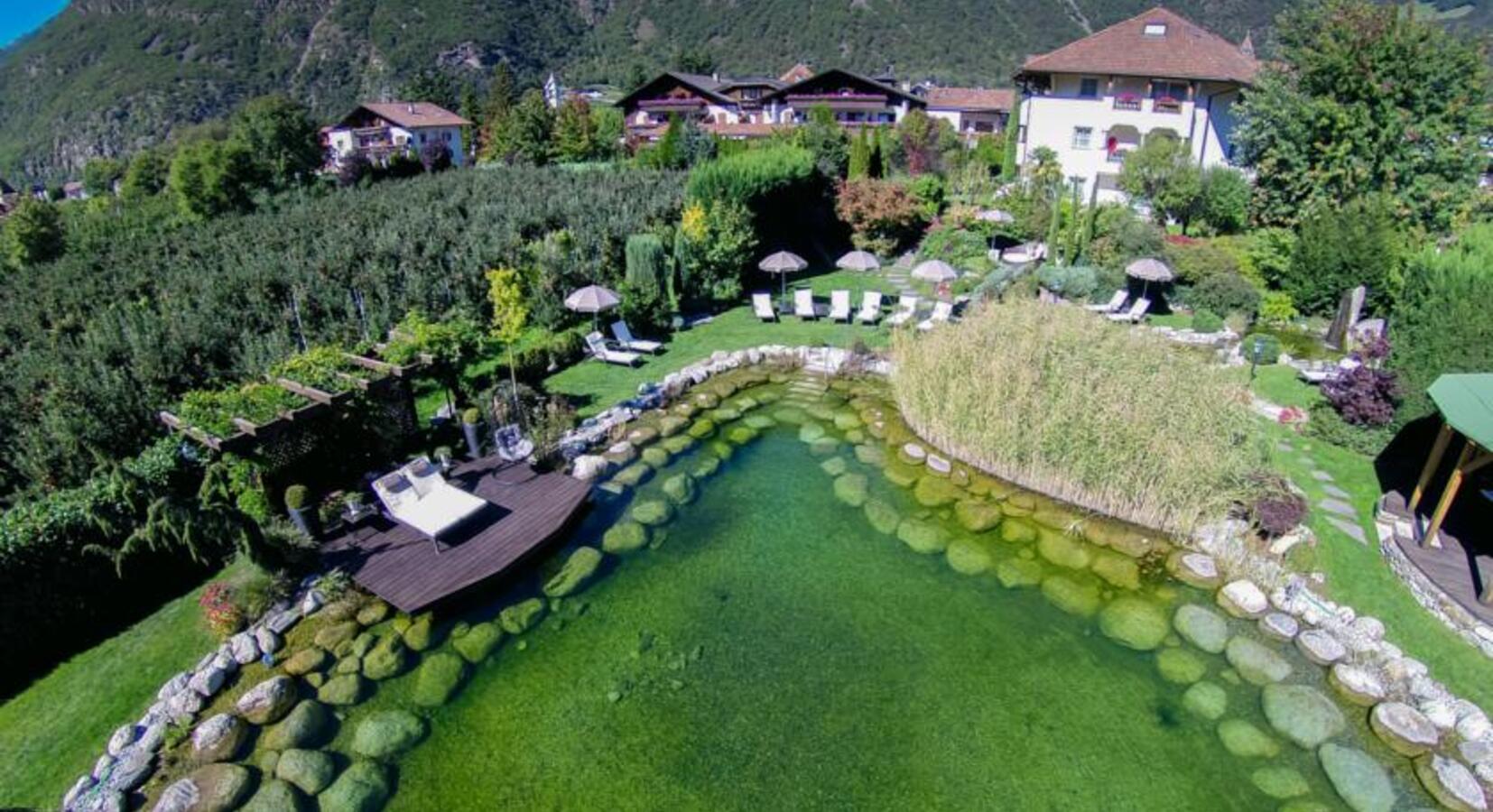 Garden and Pool
