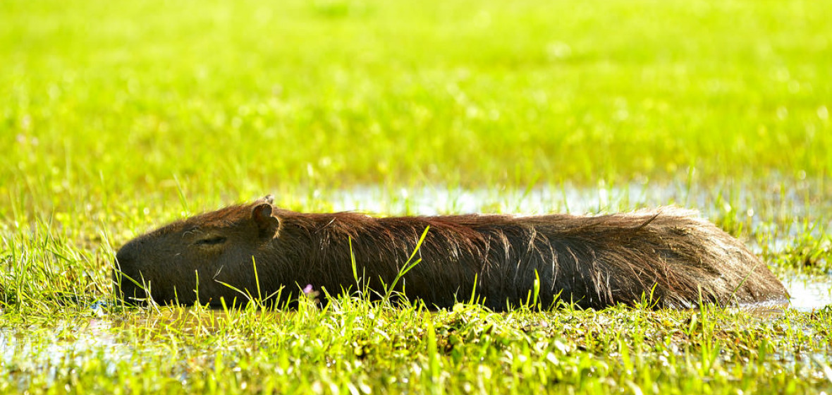 Best places to stay in Carlos Pellegrini, Argentina The Hotel Guru