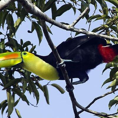 Orange Walk District, Belize