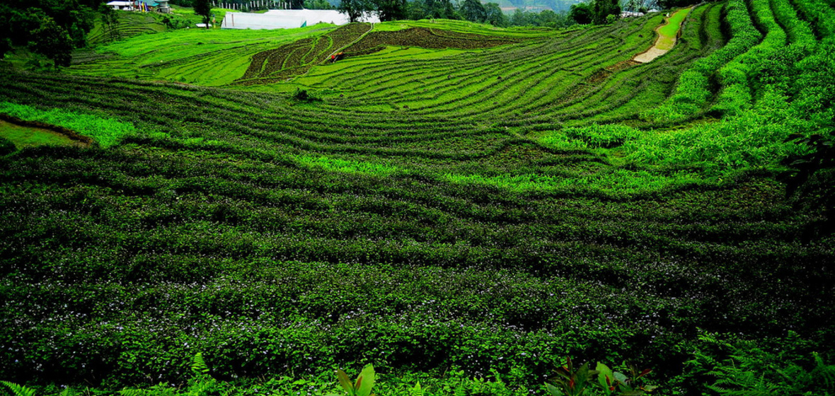 Photo of Gangtok