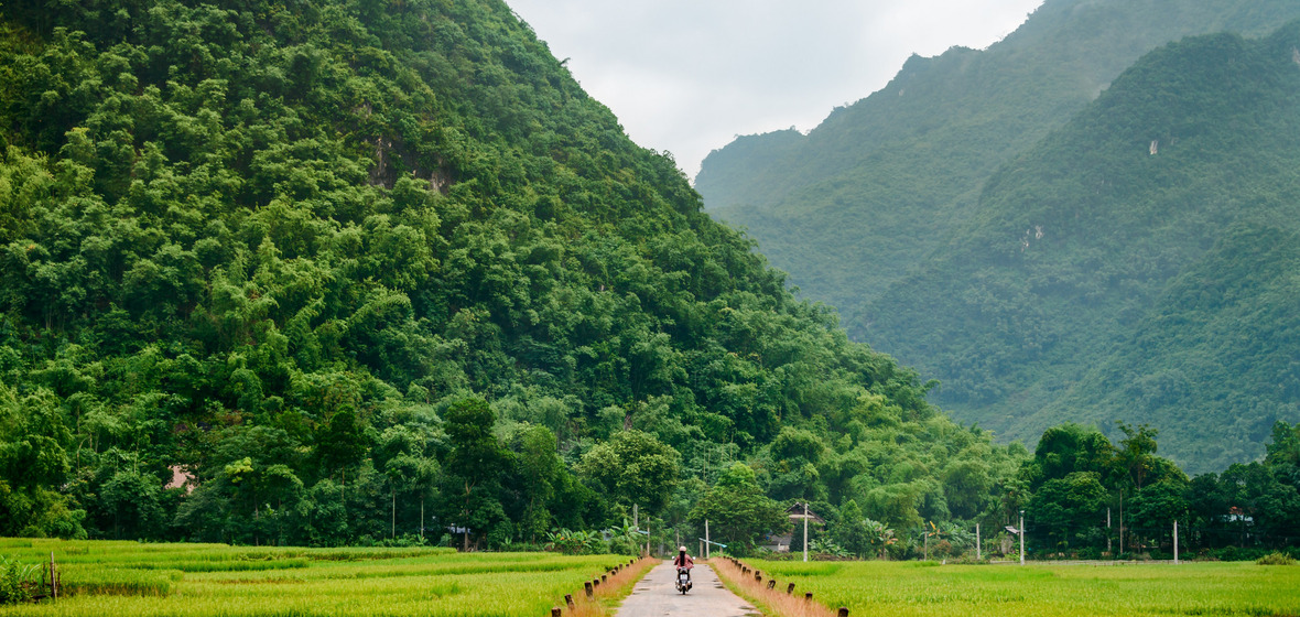 Photo of Hoa Binh