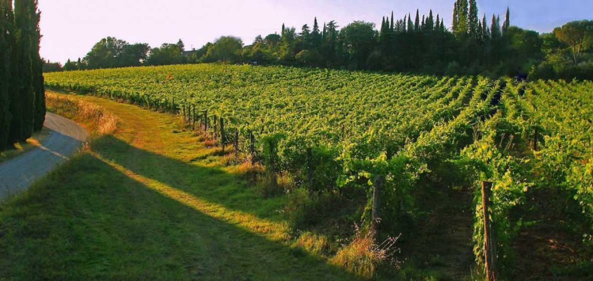 la-striscia-wine-resort-arezzo-tuscany-italy-expert-reviews-and