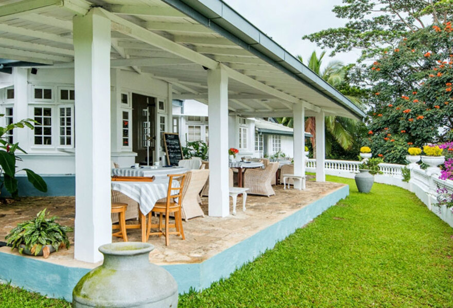 Ashburnham Tea Estate