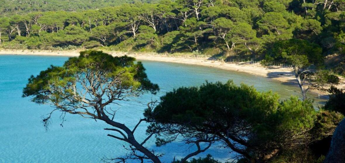 Foto de Isla de Porquerolles