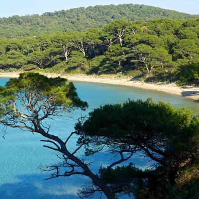 Isla de Porquerolles, Francia