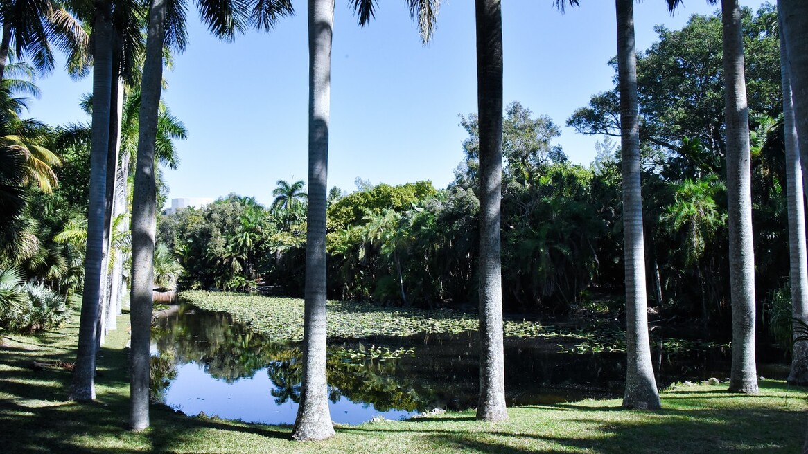 Victoria Park