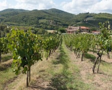 19 Best Wine hotels in Chianti
