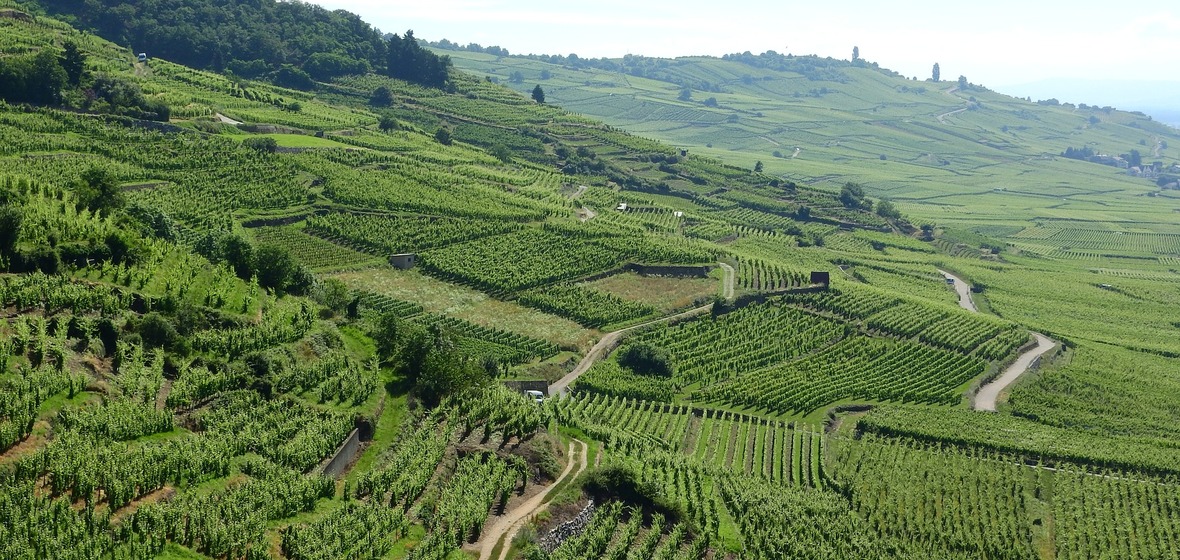 Photo of Alsace