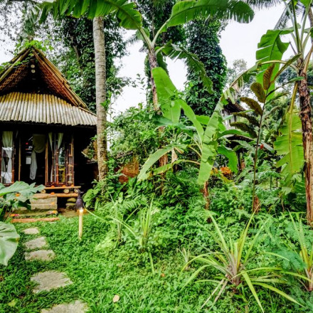 The 5 Best hotels for Wildlife in Bali