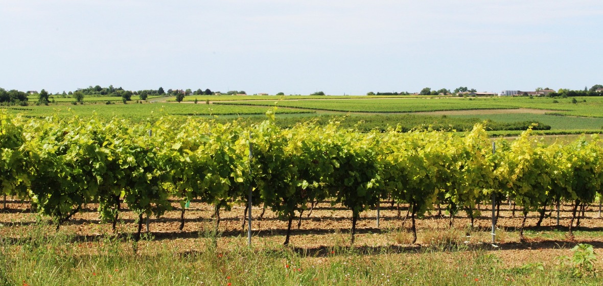 Foto von Charente
