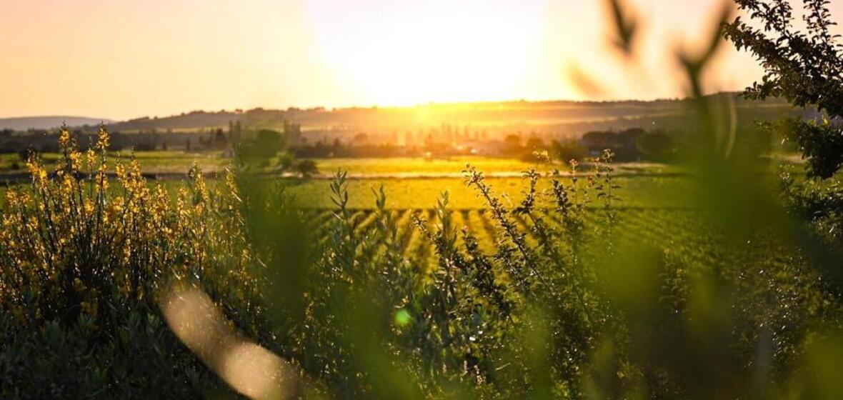 Foto von Vaison La Romaine