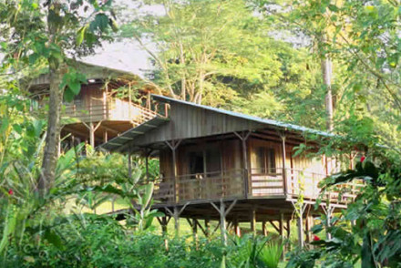 Selva Bananito Lodge 