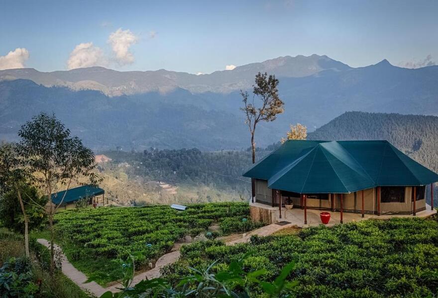 Madulkelle Tea & Eco Lodge