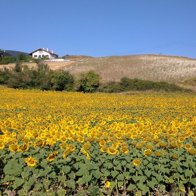 Navarra hotels